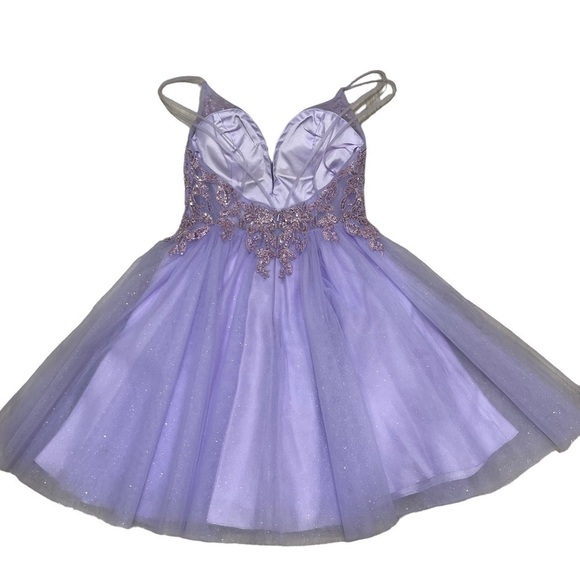 Coya Collection New XS Floral Embroidered Open V Back Tulle Fit and Flare Dress - Picture 12 of 14